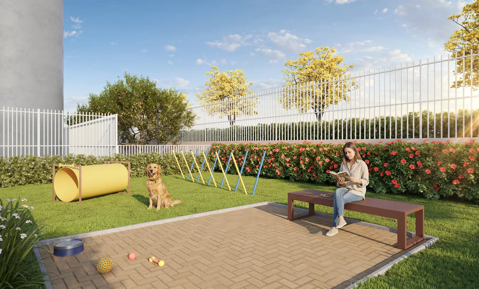 Pet agility do Natuá — perspectiva ilustrada