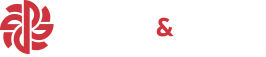 Plano&Plano — construindo relações de valor
